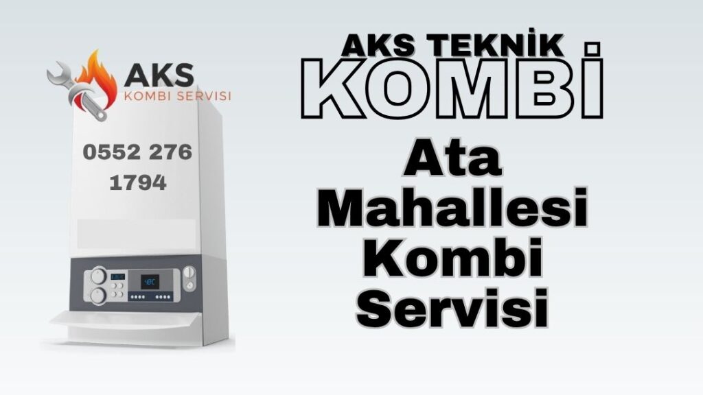 ata-kombi-bakimi