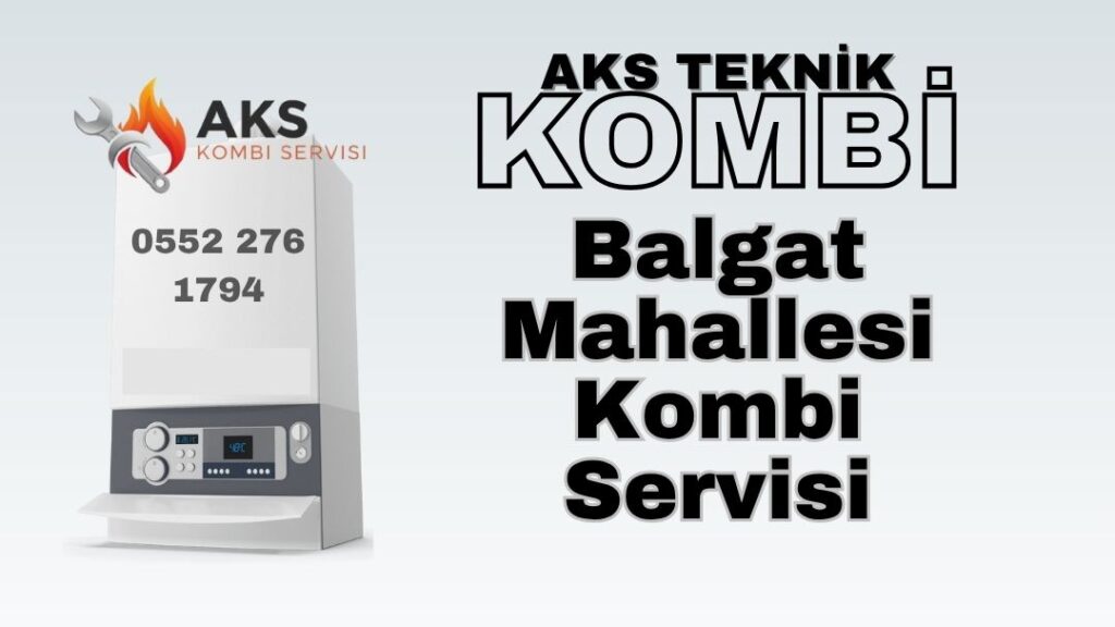 balgat-kombi-bakimi