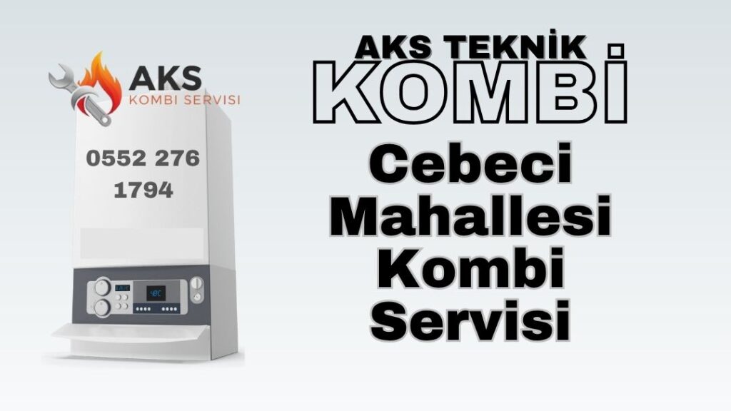 cebeci-kombi-bakimi